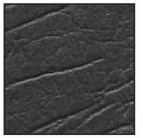 charcoal swatch
