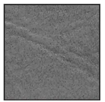 coastal gray swatch