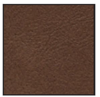 mayan brown swatch