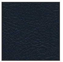 navy swatch