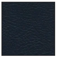 navy swatch